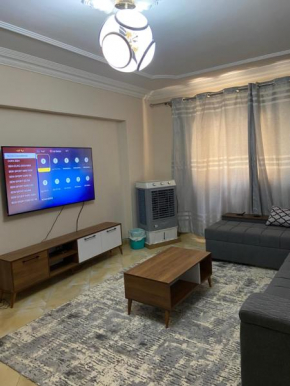 A stunning apartment for rent in nasr city